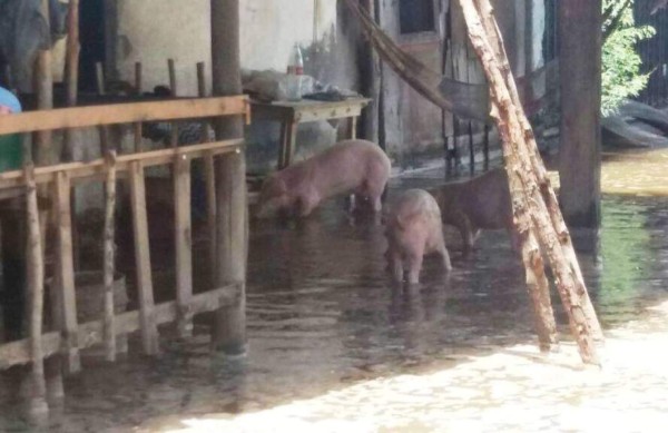 Copeco extiende alerta verde en costa del Pacífico por fuerte oleaje