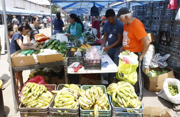 Con las lluvias se espera un aumento del 6% en la producción hortícola