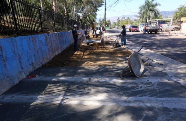 Listo programa de actividades para festejar a Suyapa