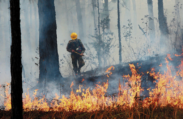 Copeco afina su plan estratégico 2012