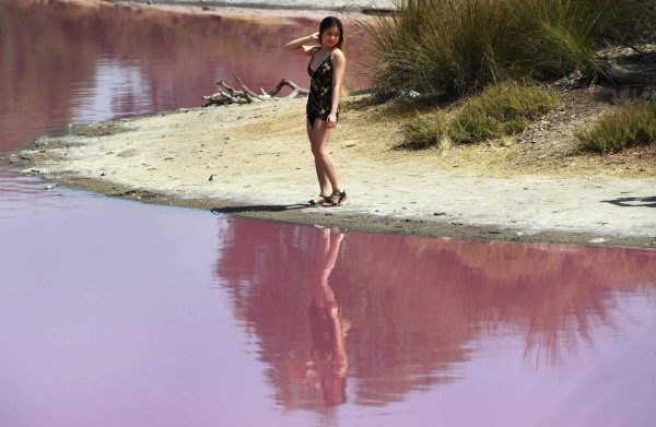 FOTOS: El extraño lago rosado que se ha convertido en un atractivo turístico en Australia