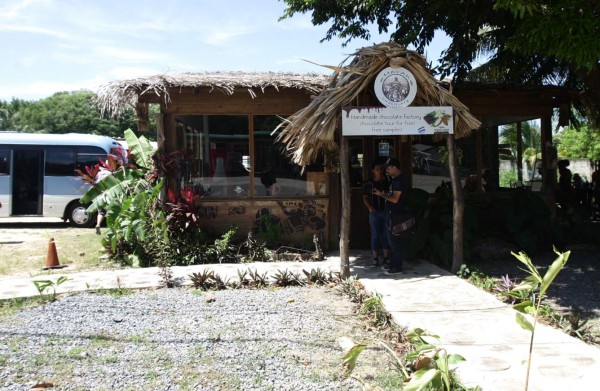 El museo del cacao en Roatán, dulce estación en el caribe