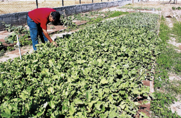 Construyen complejo habitacional para infectados y afectados por el VIH sida