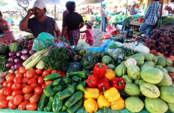 Lista de productos de la canasta congelados