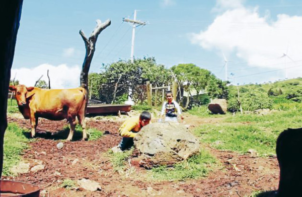 Diez cortometrajes aspiran a los premios en Festival de EL HERALDO