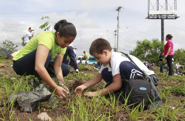 Escuelas amigables dejan su huella con reforestación de área verde