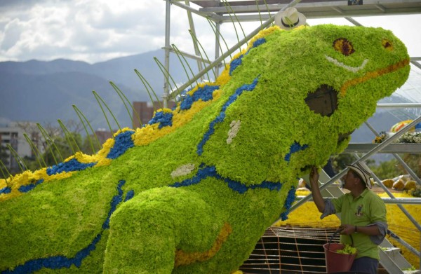 Medellín le rinde tributo a la naturaleza