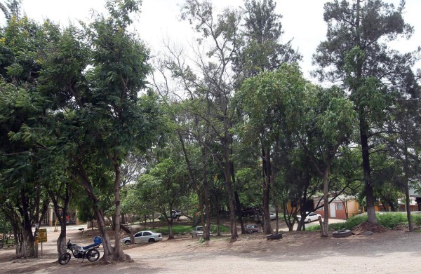 Con lotificación de áreas verdes regulan venta ilegal de predios