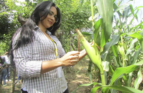 Fincas de Danlí abren sus puertas al turismo rural durante el Festima