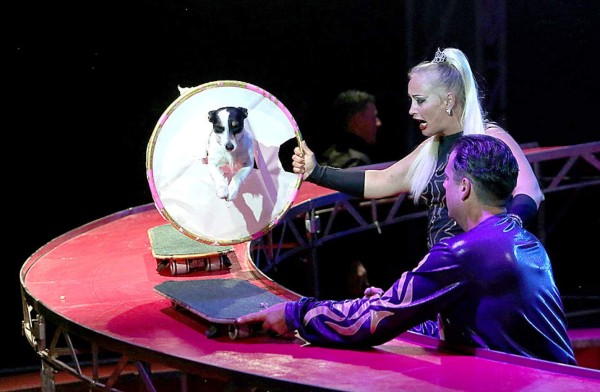 Las Fotos de la Semana en ElHeraldo.hn