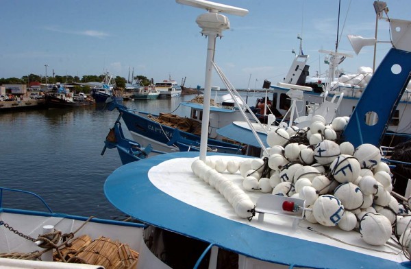 SAG autoriza pesca de camarón en el Caribe