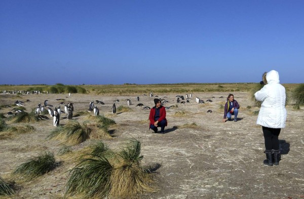 Islas Falkland: en el fin del mundo queda un bello paraíso