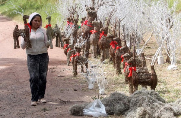 Espléndidas obras de arte navideño engalanan las calles de la capital
