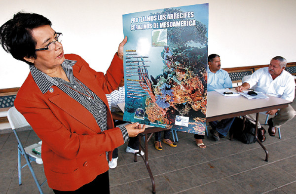 Alertan de masiva destrucción de arrecifes coralinos