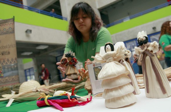 Elaboran productos y artículos a base de diversas especies de plantas útiles