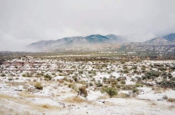 Noroeste de México registra las nevadas más intensas en más de 50 años&nbsp;&nbsp;