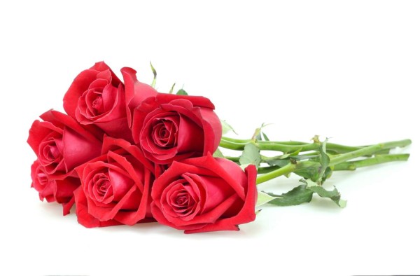 Renueve sus espacios e imprégnelos de romanticismo