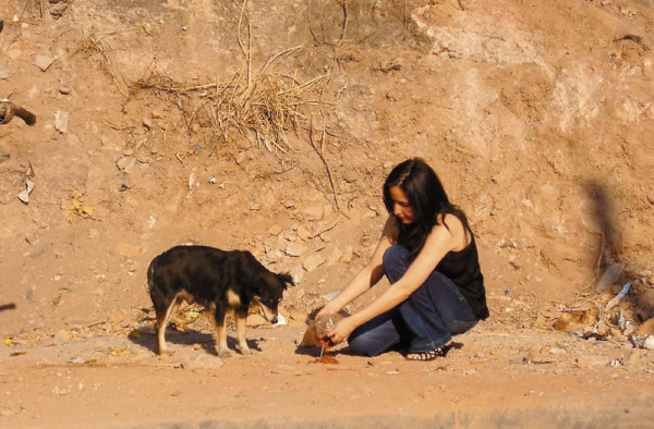 Bendición y rescate para las mascotas