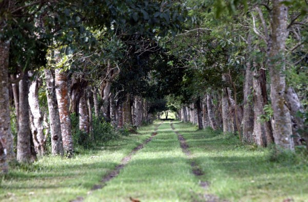 Enigmáticos vestigios develan la grandeza de una civilización.