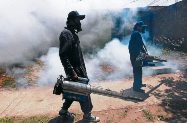 Vigilancia en 50 colonias por rebrote de zancudos