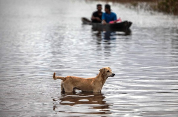 En lo que va de noviembre, los ahora disipados Eta y Iota embistieron Centroamérica como huracanes. Foto: Agencia AFP.