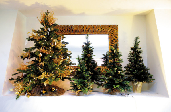 ¡A vivir una Navidad tricolor!