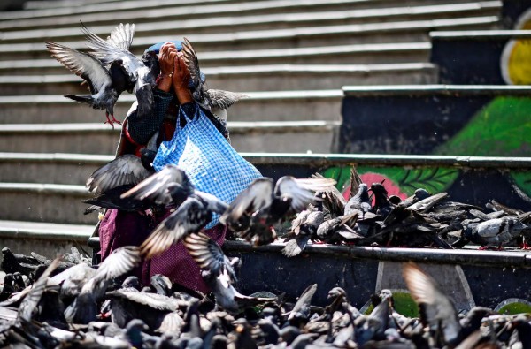 Suman 23 los muertos en casi un mes de convulsión social en Bolivia, según la CIDH