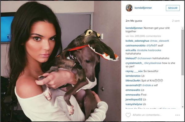 Beyoncé es la nueva reina de la red social instagram