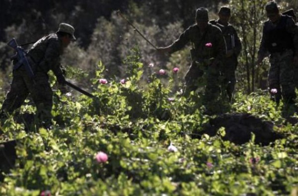 ¿Por qué resultó herido el Chapo en el último escape?