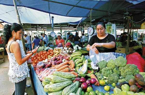 Congreso aprobará nuevo listado de canasta básica