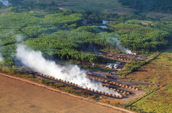 Pionero de las ciudades verdes