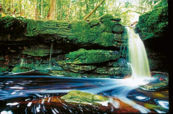 De la fiebre del caucho al París de los trópicos