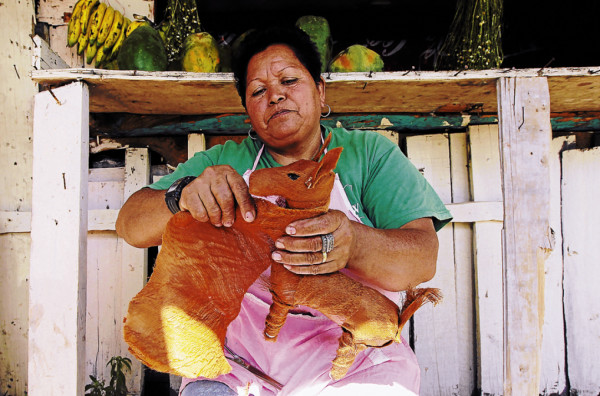 Productos del campo adornan la Navidad