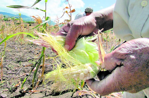El hambre acecha a familias del sector sur de El Paraíso