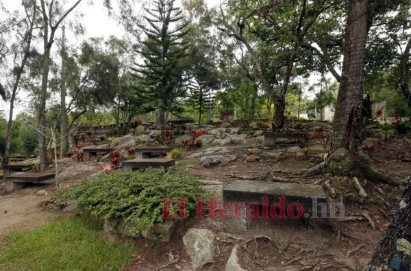 Con medidas de bioseguridad, El Picacho abre sus puertas (FOTOS)