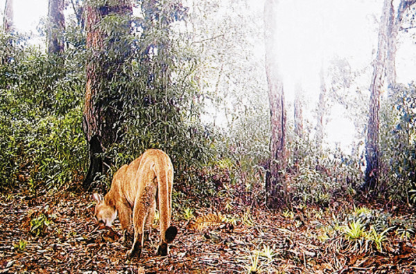 Magnífico paisaje ofrece el refugio de vida silvestre La Muralla