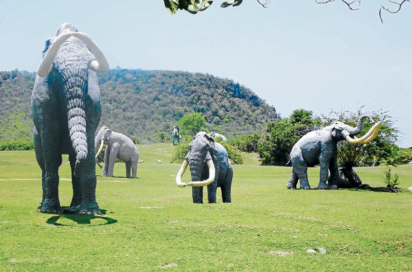 Animales de la prehistoria se refugian en el Parque de Baconao