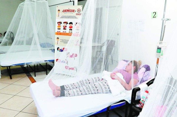 Durante el 2019 el dengue mortal doblegó al sector sanitario capitalino