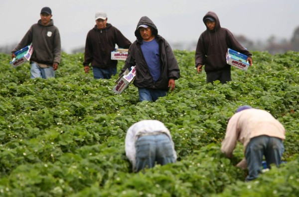 'México no roba empleos de EEUU', dice canciller mexicana&nbsp;&nbsp;