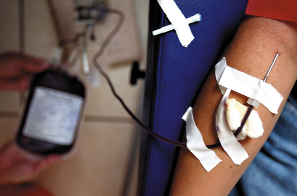 Hemofilia: enfermedad de hombres que portan las mujeres