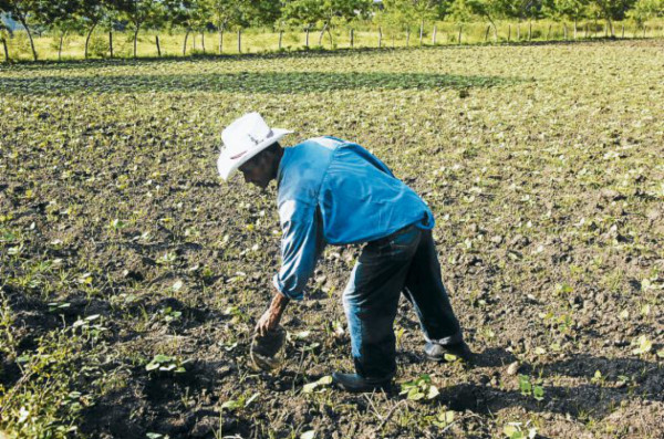Diputado encarceló campesinos