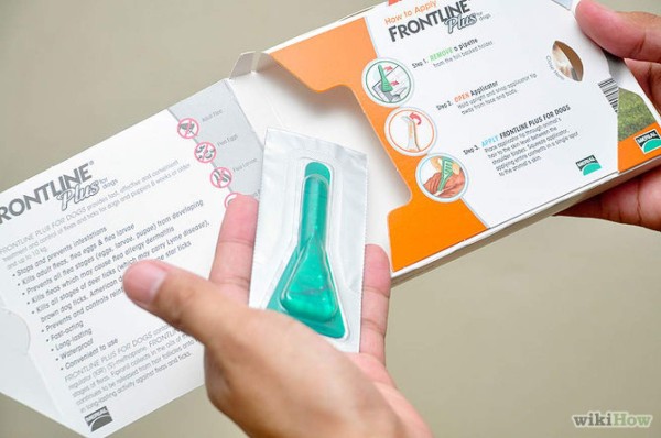 Acabe con los patacones y garrapatas de su mascota