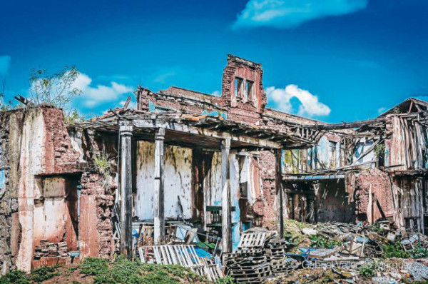 ¡Colectivo Hormiga al rescate del patrimonio hondureño!