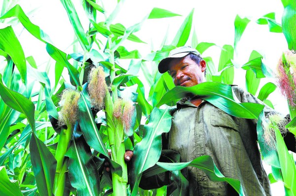 Honduras: 2,800 morosos de Banadesa están al día en la banca