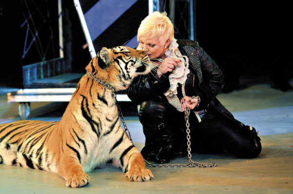 La Caravana de Maravillas