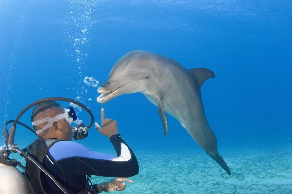 Encantos del caribe reunidos en un solo lugar: Roatán