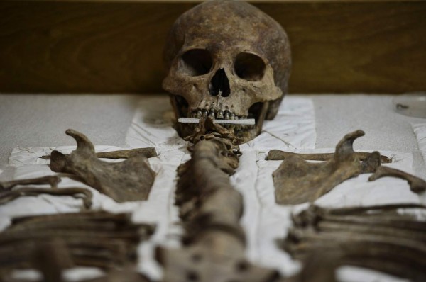 FOTOS: Los restos del primer rey de Copán, bajo la lupa de investigadores