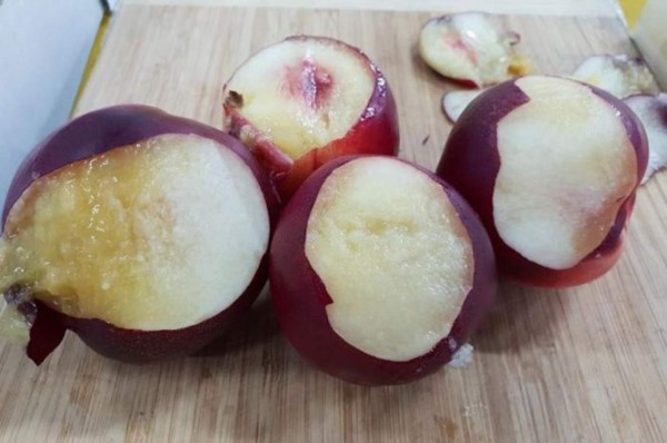 FOTOS: Huevos cocidos, llantas derretidas y animales muertos deja intensa ola de calor en Australia