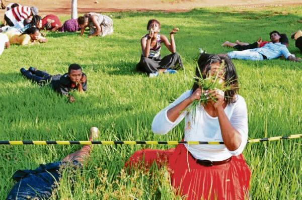 Comen pasto para acercarse a Dios