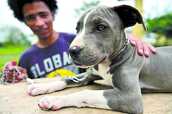 Brindan terapia canina a privados de libertad